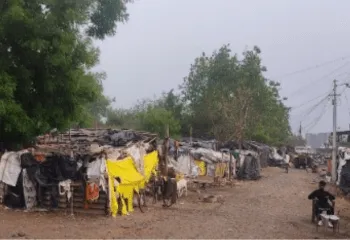 SIDDHESHWARI GOND BASTI